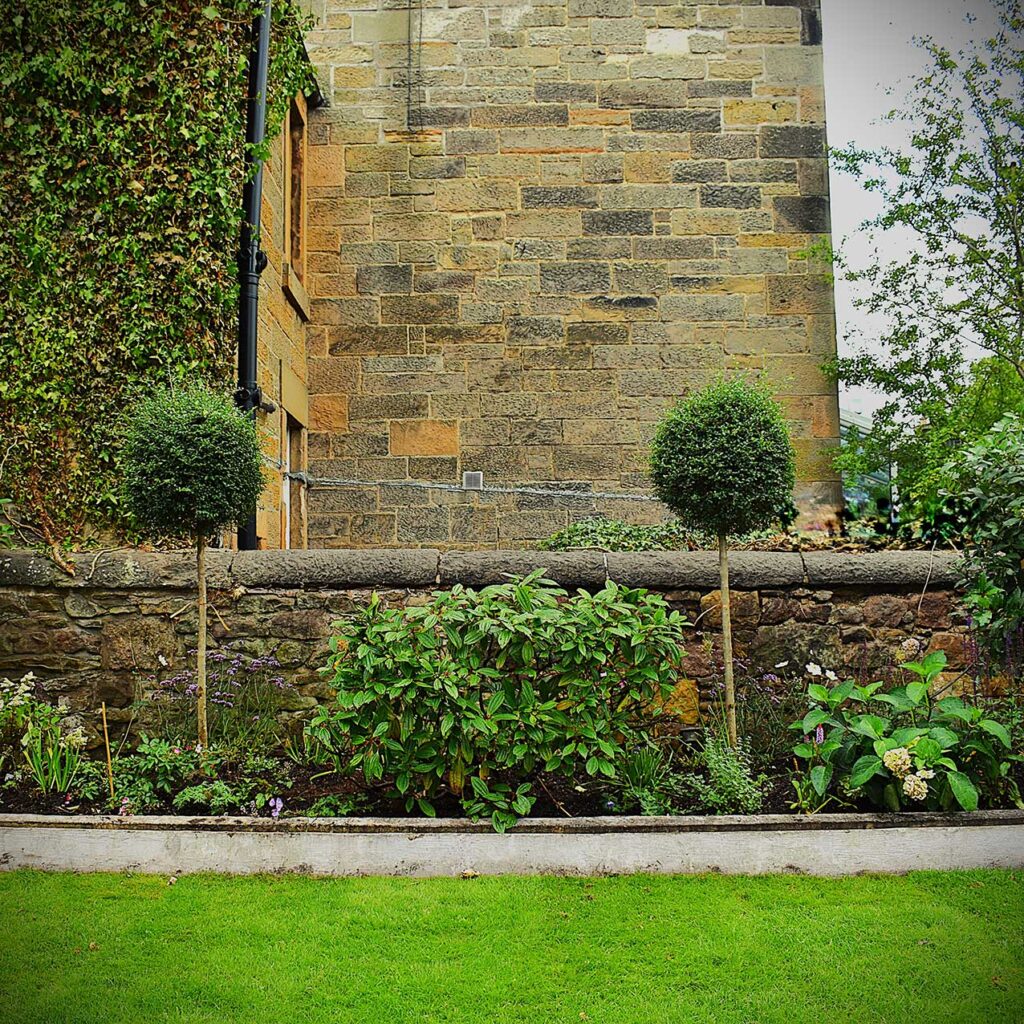 Priestfield-Rd-Edinburgh--lollipop-Trees