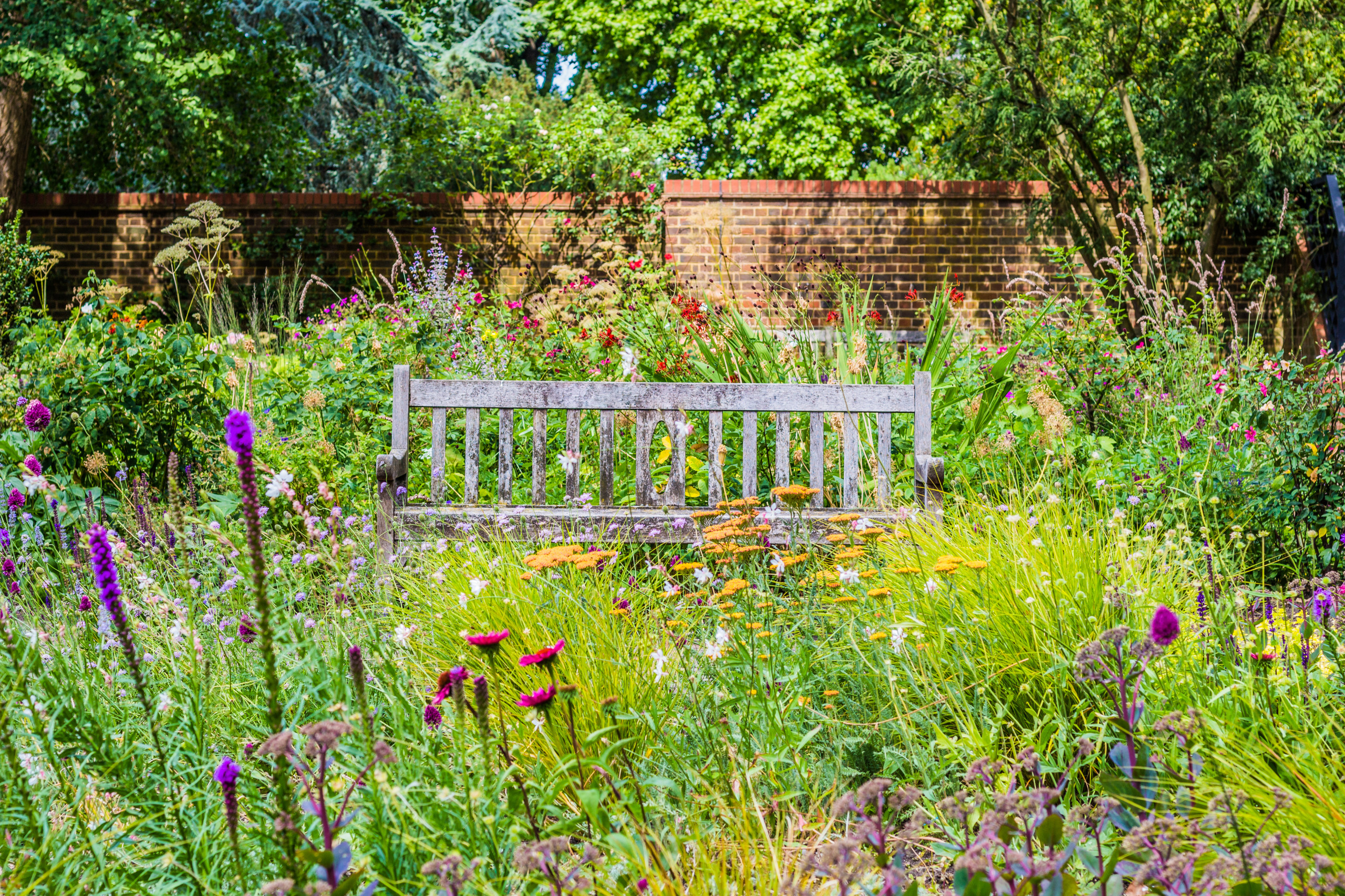 Structured contemporary planting design